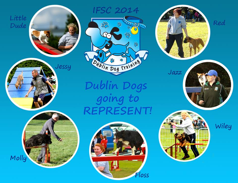 Good luck to the Dublin Dog Training dogs